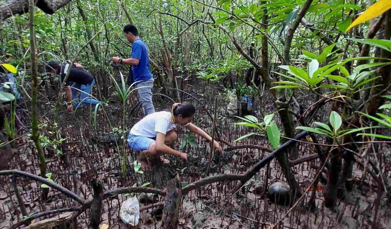 CPI Mangrove Planting Isabel Leyte 2022